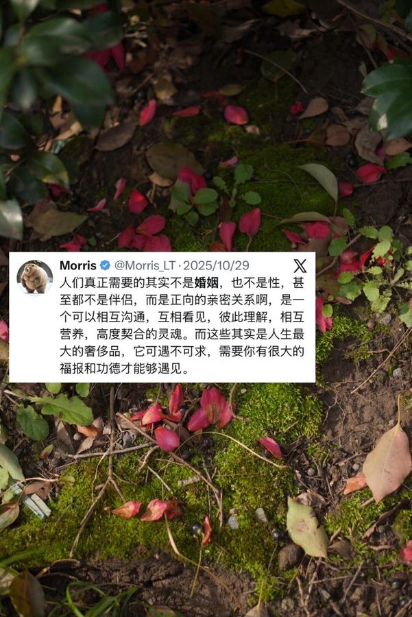 Cover of the original post: 人们真正需要的其实不是婚姻，也不是性，甚至都不是伴侣