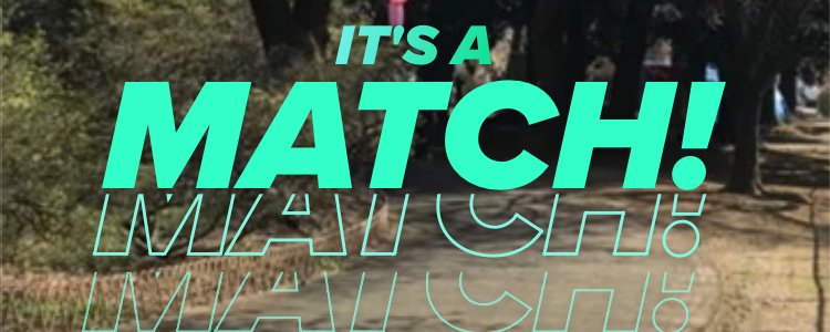 原帖封面:IT'S A MATCH!